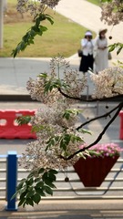 96237FD8-84EF-453E-B00A-23C22AD0FBC6/L0/001