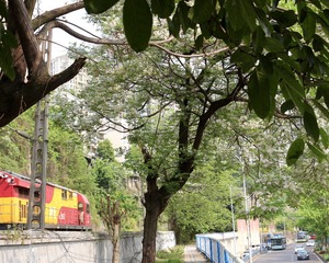 4FE38CB2-458C-43D1-83F4-21BA21F58447/L0/001