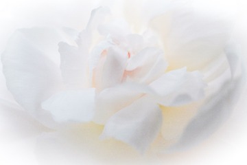 1037