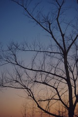 C545BEA7-D286-40CF-946C-350B1708AEAA/L0/001