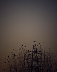 9119173D-0421-4A86-8810-0E8C2C5B7877/L0/001