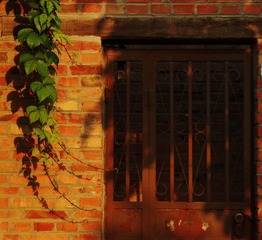 tmp_f5d769cc58b4d7b92d5da36ac6be4ad443c56ad2feed533c