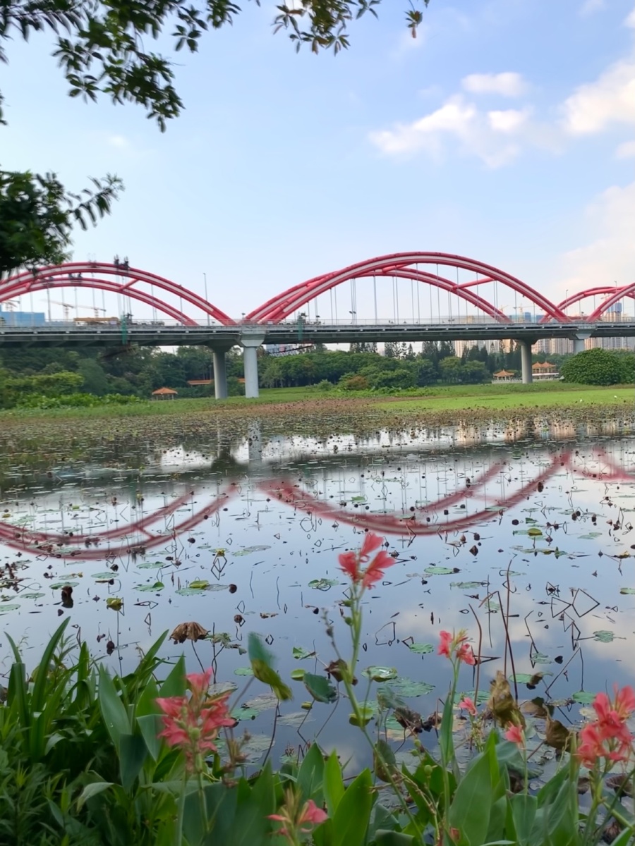 洪湖公园的彩虹桥