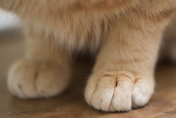 697253
