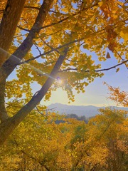 A950183F-B07B-4ED9-BB1F-46C7E26B37B1/L0/001