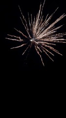 2C0426D3-0983-4EBA-BBD8-FCCEC39D2451/L0/001