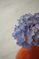 4D37E272-2767-47B1-83B1-F9658C965CF8/L0/001