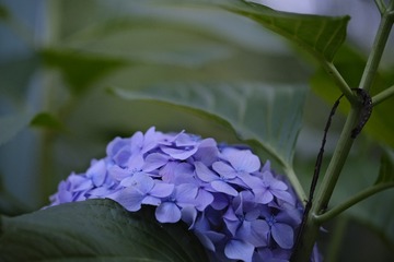 5B830648-5075-4EF0-89F9-4C2914579877/L0/001