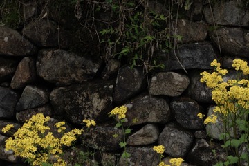 451B0B75-22E2-440D-84E5-12F3055DFE63/L0/001
