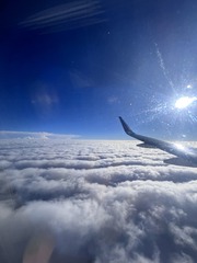 8819D11B-7C33-40E2-98E4-3F914AEBA865/L0/001