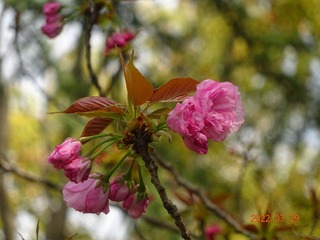 48FC04DD-D8BF-4960-94C5-695B974232A2/L0/001