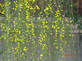 968B3DA3-7553-4CCD-8F2E-A01181F35D57/L0/001