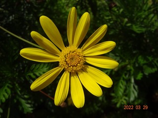 9B6BBD49-ADFD-4D10-9562-3E6058350E14/L0/001