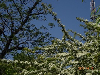 B9E04028-34A4-4DB5-B3E6-0D0BFC2811A9/L0/001