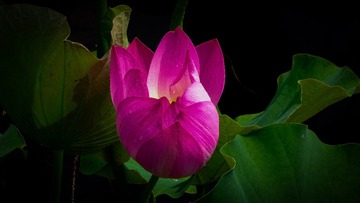 A88EB979-20DA-4CEA-B39E-63F9B9B1BA13/L0/001