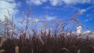 5D4EF61C-C7FA-4692-9A4D-4A88D5245F4B/L0/001