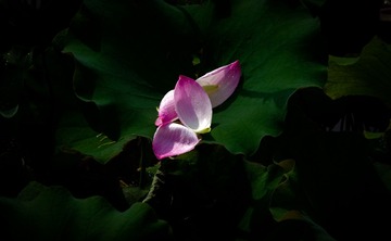 C9964B68-3242-42A2-B7F8-EBB9EF5825E5/L0/001