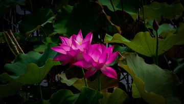 3CA09143-C168-4619-97BB-E61C10E9E2D0/L0/001