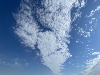9CBB0D63-62A1-42A3-9B9C-9B5203CCECFB/L0/001