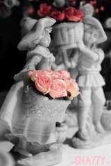IMG_6140_副本__.jpg