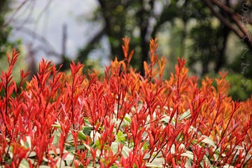 IMG_0554_副本.jpg