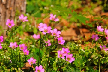 IMG_1138_副本.jpg