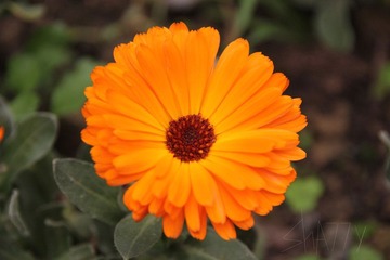 IMG_1782 2.jpg