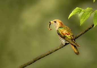 7D0D87E5-7DA1-44CF-9102-E8341C9EFE7F/L0/001