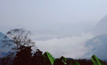 4D5AE8AC-493C-4D4F-8AEA-5694CE14A80D/L0/001