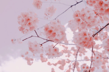 2783CFE3-8AA5-401F-8519-448FF6A58DA8/L0/001