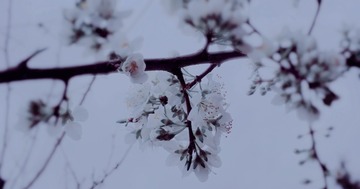 6059DD88-76F1-45E4-B319-C52DE461488F/L0/001