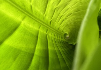 3779663F-6E46-4941-A3C4-039324F3A4D9/L0/001