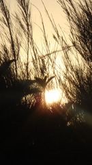 835BD89E-CED3-44A5-88D1-A74B8DDF0B27/L0/001