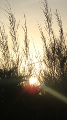 1ED7619A-1920-4A21-BD93-5460D35B72C0/L0/001