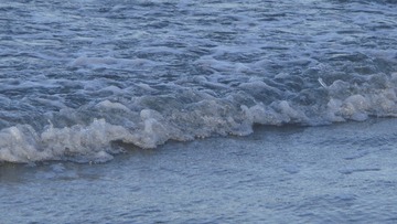 35F09737-CC22-446F-AF7E-8A58DF5AB3CE/L0/001