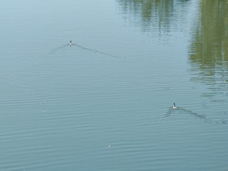 1000054030