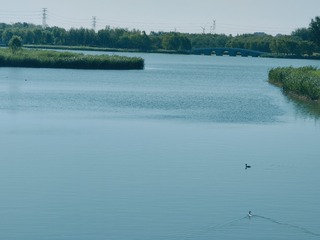 1000054031