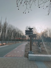 1000045277