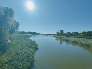 1000054029