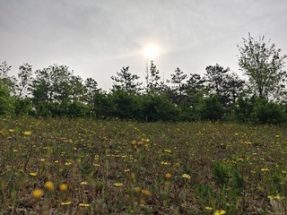 1000002937