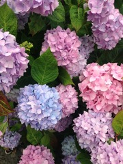 8369899D-791D-46FC-A034-547E6F34DB97/L0/001