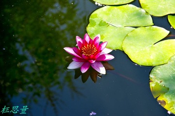 IMGP0202.JPG