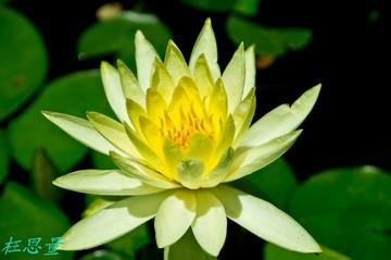 IMGP0248.JPG
