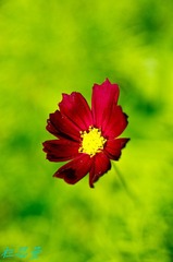 IMGP0321.JPG