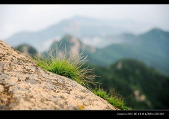 山东行 (16)