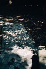 1000067156