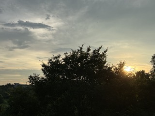 C0B22C0B-75B7-4E5E-A494-484503619993/L0/001