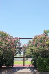 IMG_7887.jpg