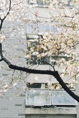B7D9C2BB-386C-4BCF-B0EA-587B0DA5B1B8/L0/001