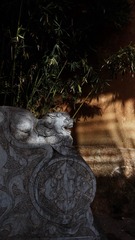 38528D32-A863-4E51-AB14-04A561148BD4/L0/001